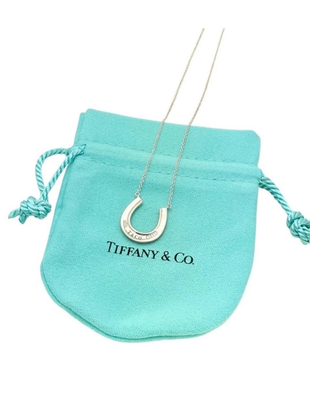 Tiffany & Co. Silver Horseshoe Necklace with Iconic Blue Pouch